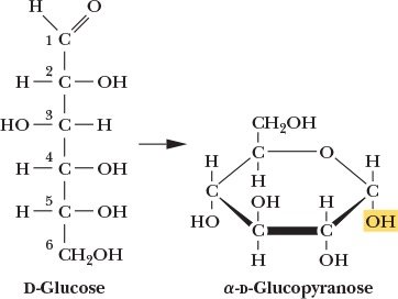 Structure of D-Glucose and α-D-Glucopyranose