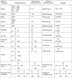 Table of functional groups of biochemical importance