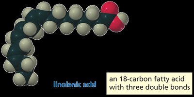 Melting points of different fatty acids