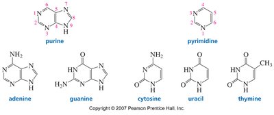 Table of RNA types and functions