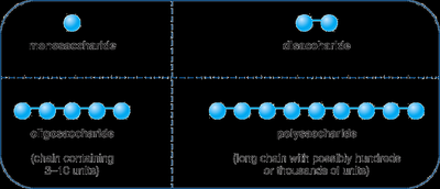Carbohydrate classification diagram