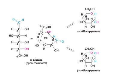 Cyclization and anomer formation in glucose (alternate representation)