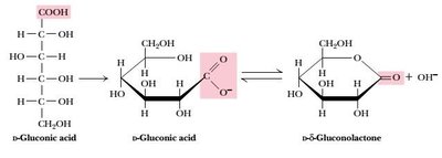 Formation of gluconic acid and lactone