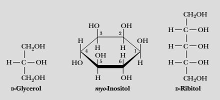 Sugar alcohols: glycerol, myo-inositol, ribitol