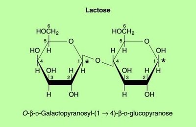 Lactose structure