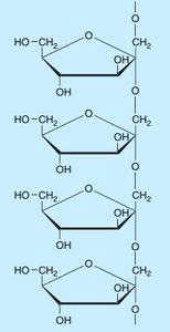 Inulin structure