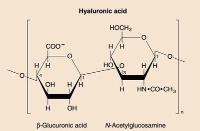 Hyaluronic acid structure
