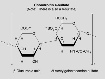Chondroitin sulfate structure