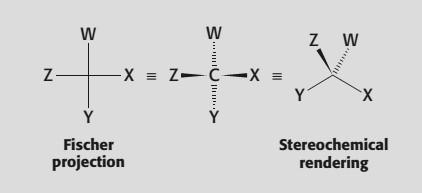 Fischer projection vs stereochemical rendering