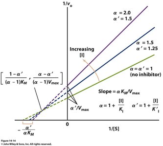 Lineweaver-Burk plot showing noncompetitive/mixed inhibition