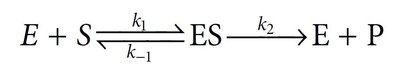 Michaelis-Menten reaction scheme: E + S <-> ES -> E + P