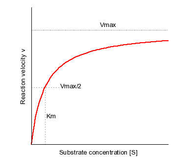 Hyperbolic plot of reaction velocity versus substrate concentration, indicating Vmax and Km