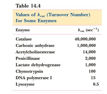 Table of kcat values for various enzymes