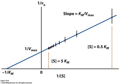 Lineweaver-Burk plot with labeled intercepts and slope