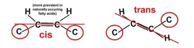 cis and trans double bond configurations in fatty acids