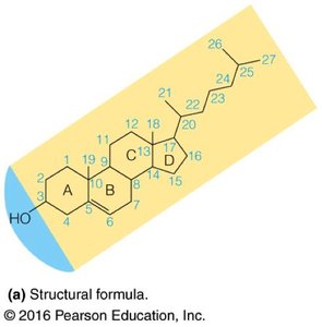 Cholesterol structure with ring labeling