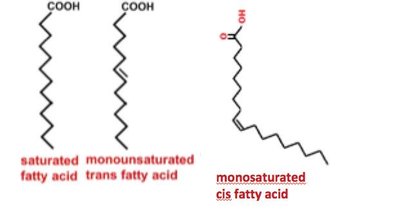 Structures of saturated, monounsaturated, and trans fatty acids