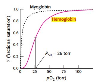 Oxygen saturation curve for myoglobin and hemoglobin