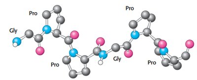 Collagen triple helix structure