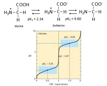 Glycine titration curve and zwitterion formation