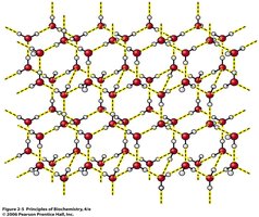Hexagonal lattice structure of ice