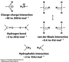 Summary of noncovalent interactions in biomolecules