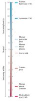 pH meter and pH scale