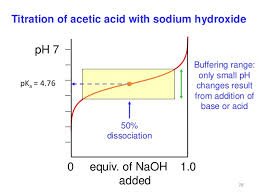 Blood buffer system diagram
