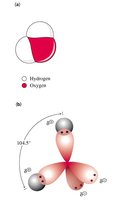 Water molecule shape and bond angles