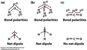 Polarity and dipole diagrams for water, ammonia, and carbon dioxide