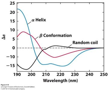 CD spectra of α-helix, β-sheet, and random coil proteins