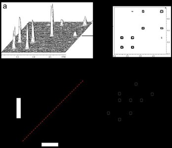 NOESY contour plot and cross-peaks