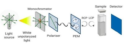 Schematic of CD spectroscopy setup