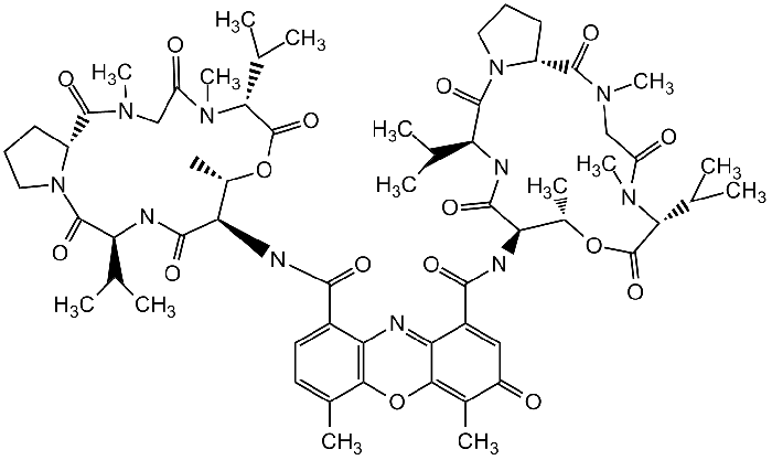 Structure of Actinomycin D