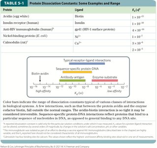 Oxygen binding curve for myoglobin