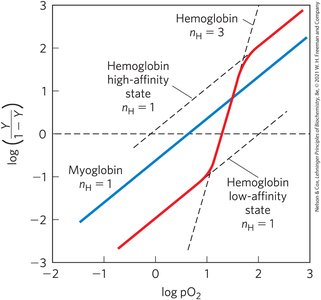 Hill plot for myoglobin and hemoglobin