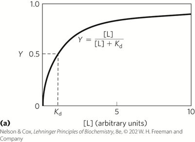 Ligand binding curve and equation