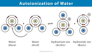 Autoionization of water
