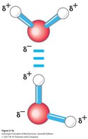 Hydrogen bond between two water molecules