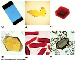 Examples of protein crystals