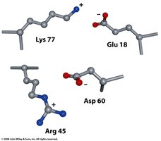 Ion pairs in protein structure