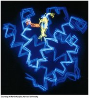 NMR structure dynamics of myoglobin