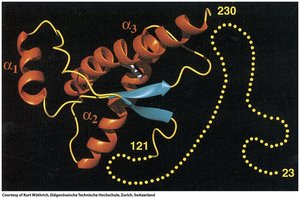 Normal prion protein structure