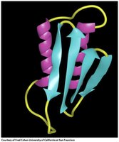 Misfolded prion protein structure