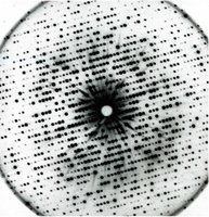 X-ray diffraction pattern of sperm whale myoglobin