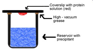 Vapor diffusion crystallization setup
