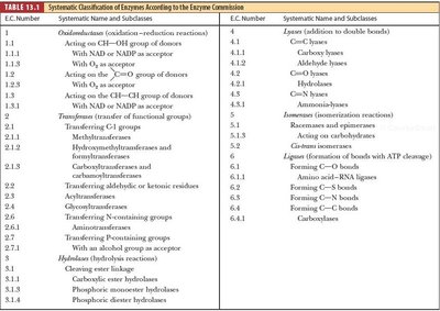 Enzyme Commission classification table