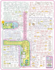 Comprehensive metabolic map showing pathways and intermediates