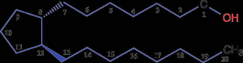 Molecular structure of arachidonic acid, a precursor of eicosanoids