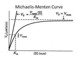 Michaelis-Menten curve showing Vmax and Km